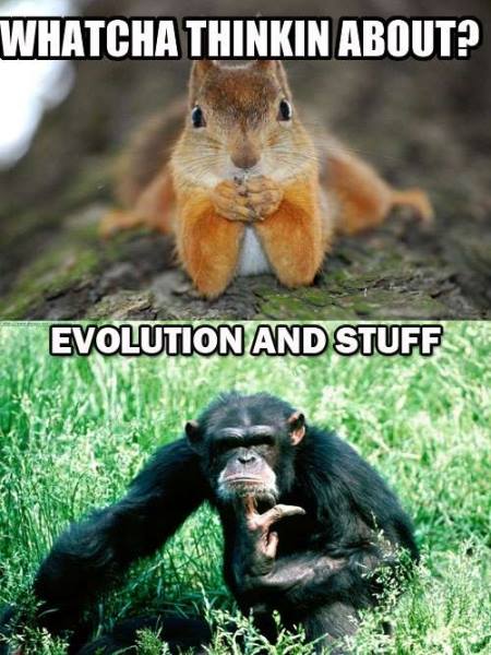 evolution and stuff